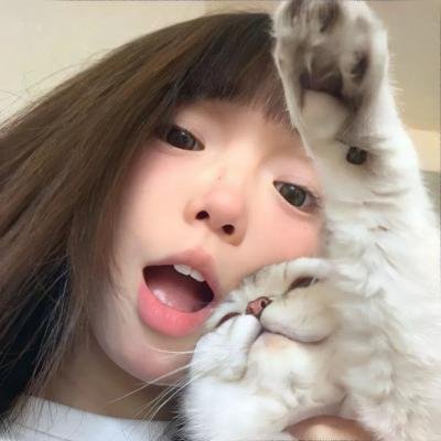 野兔邦妮