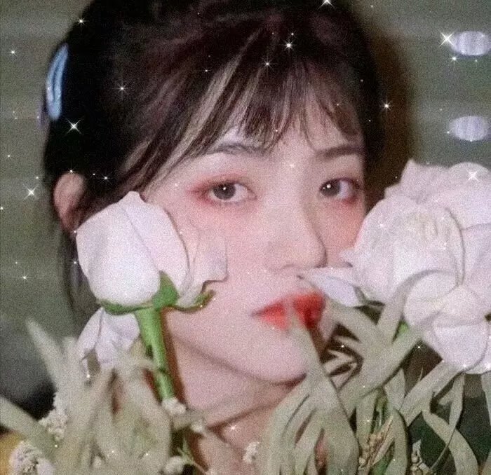 水星领航员第三季